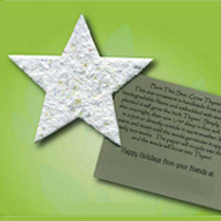 Star Seeded Ornament